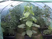 FolienGWH6_7_13.webp