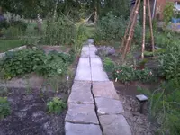 Gemüsegarten6_7_13.webp