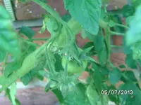 BILD3714.webp