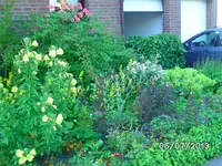 Vorgarten.webp