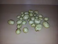 20130706_103228.webp