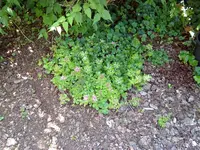 070720131383.webp