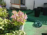 070720131385.webp