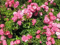 012.webp