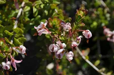 DSC_3183.webp