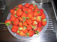 100_1025.webp