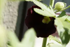 _DSC2124.webp