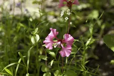 _DSC2117.webp
