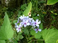 P1100057.webp