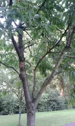 20130706_203137.webp