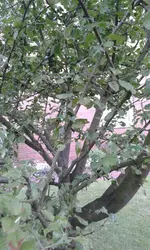 20130706_203157.webp
