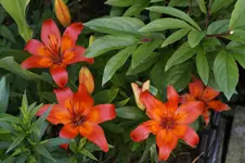 _DSC2067.webp