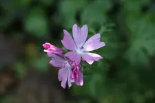 IMG_3013.webp