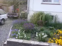 Foto0909.webp