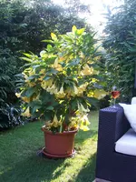 100_3798.webp