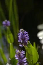 IMG_2806.webp