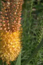 IMG_2802-001.webp
