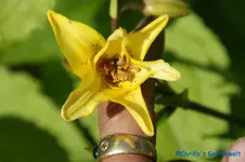 DSC09796.webp