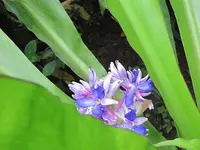 103.webp