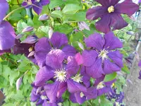 DSCN0827.webp