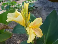 DSCN0830.webp
