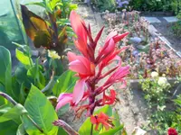 DSCN0831.webp