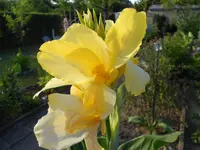 DSCN0832.webp
