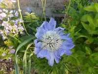 DSCN0836.webp