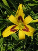 fragezeichen_576x768.webp