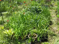 016_1024x768.webp