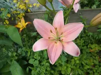 CIMG7212.webp