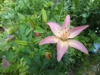 CIMG7251.webp