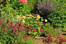 Hangbeet schön bunt_1024.webp