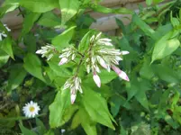 CIMG7210.webp