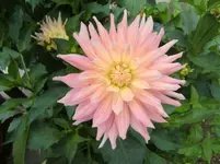 CIMG7072.webp
