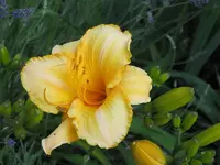 030.webp