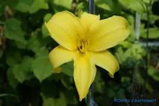 Molokai.webp