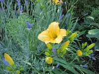 017.webp