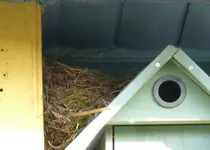 dachterrasse.webp