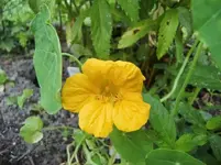 CIMG7324+-+Kopie.webp