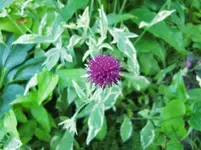 CIMG7322.webp