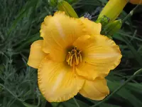 021.webp