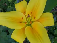 SAM_0422.webp