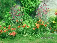 Blumen.webp
