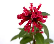 IMG_3029.webp