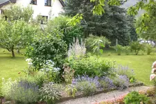 Garten 2 07 2013 006.webp