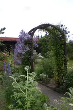 Garten 2 07 2013 008.webp