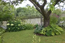Garten 2 07 2013 016.webp