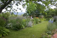 Garten 2 07 2013 017.webp