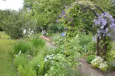 Garten 2 07 2013 025.webp